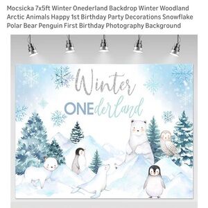 Winter Onederland Backdrop